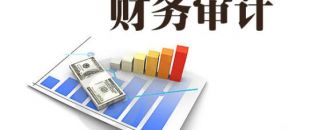 企業為什么要做財務審計？