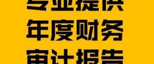 財務報表審計報告的費用是多少？